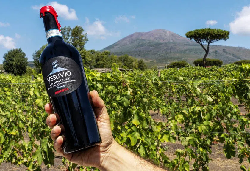 Cantina del Vesuvio, Naples