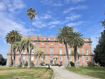 Museo di Capodimonte